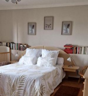 Ansiao House | Casa de Amigos