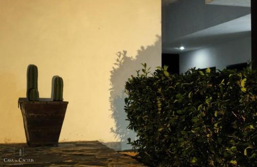 Bernal House | Casa de Cactus