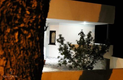 Bernal House | Casa de Cactus