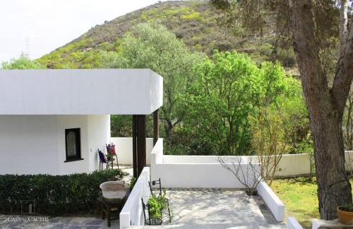 Bernal House | Casa de Cactus