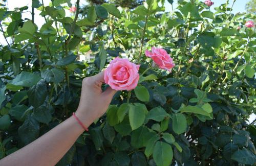 Siete Aguas House | Casa de campo Ismael