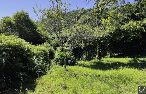 Furnas Ski Chalet | Casa de Férias Familiar