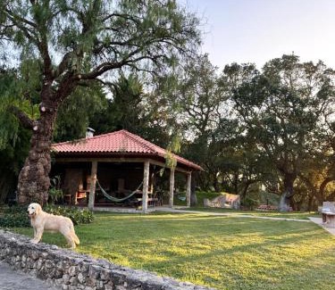 Aldeia de Irmaos House | Casa de Férias
