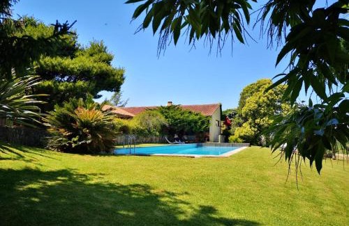 Barcelos House | Casa de Levandeiras