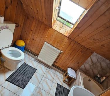 Olteni Villa | Casa de pe lac Fedelesoiu ,