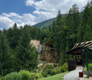 Vidra Ski Chalet | Casa de Vacanta Cascada