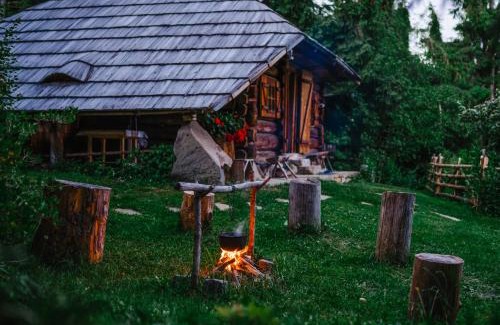 Colibita House | Casa de Vacanta Colibita Veche- langa lac