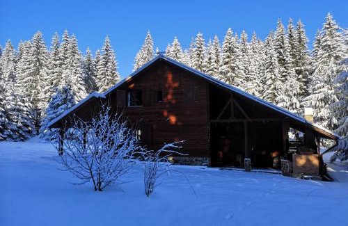 Toplita House | Casa de Vacanta Dintre Brazi