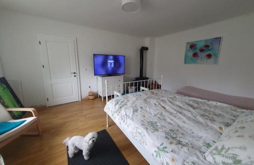 Transylvania House | Casa de vacanta Turcoaz