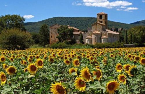 San Rocco a Pilli Apartment | Casa degli Affreschi Tuscany