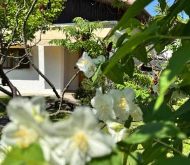 Spinea House | Casa degli Albicocchi - near Venice - whole house with garden and free Prkg