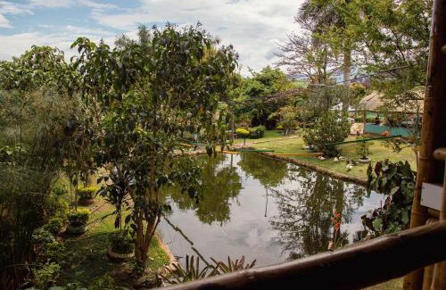 Chinauta Hotel | CASA DEL ÁRBOL, Romántico, Piscina, en Chinauta, el mejor clima