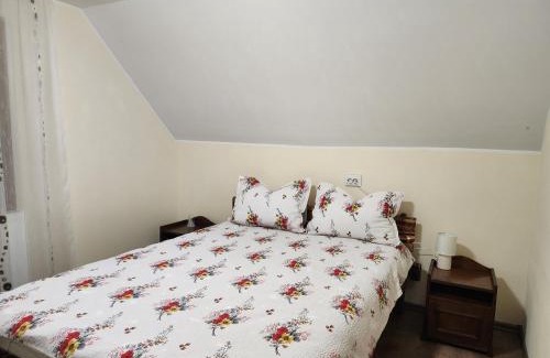 Toplita House | Casa din livadă - Cazare Măgheruș