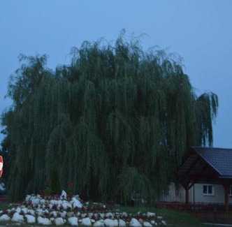 Jidvei House | Casa dintre Vii