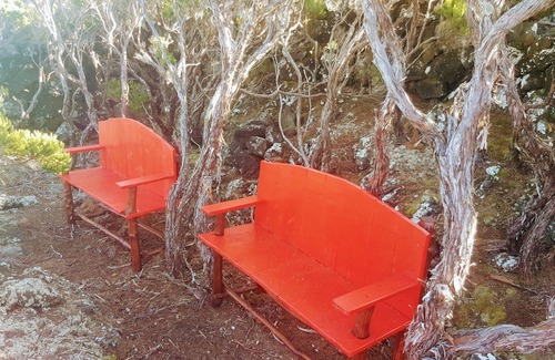 Sao Roque do Pico House | Casa do Cagarro