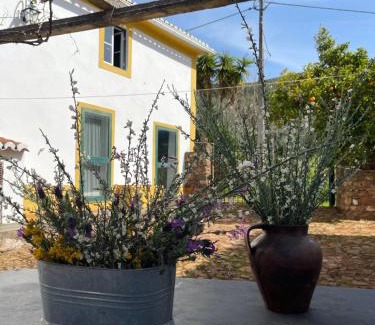 Reveladas House | Casa do Olho d'Água