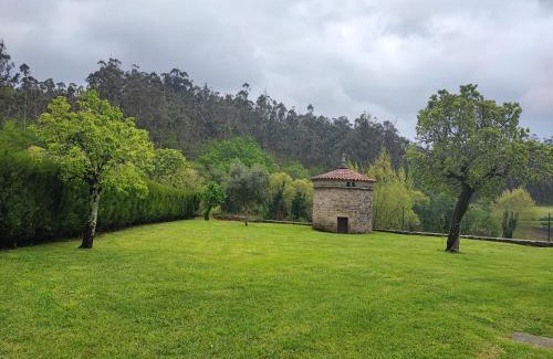 A Bana House | Casa do Peto