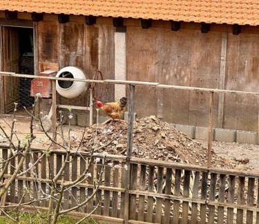 Melres House | Casa do Porco - Farm Stay & Spa no Douro