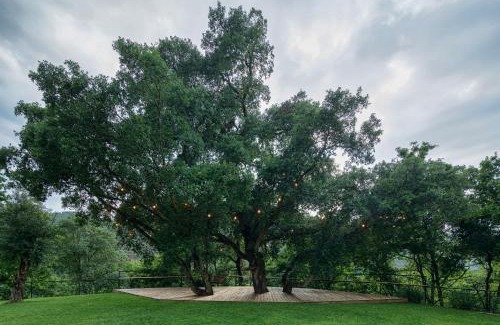 Molares House | Casa do Rio