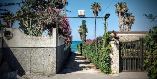 Costa Saracena-Castelluccio House | Casa e vacanze 20 passi dal mare