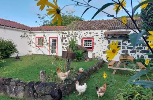 Flamengos House | Casa Farrobo