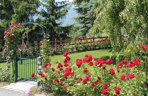 Montan-Angelin-Arensod Apartment | Casa Felice da Piera