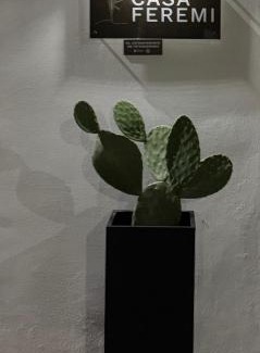 Cavallino Bed & Breakfast | Casa FEREMI