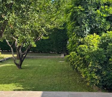 Cavallino Bed & Breakfast | Casa FEREMI