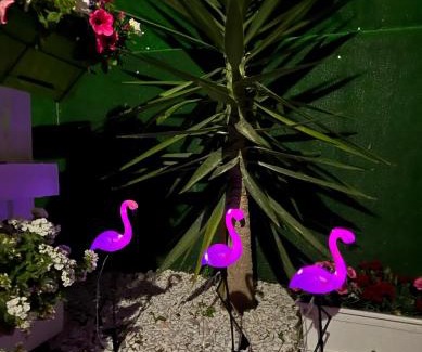 Figueira da Foz Other | Casa Flamingo