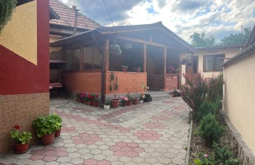 Calimanesti House | Casa Flori