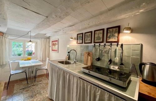 Resiga Apartment | Casa Fresco: 400 year old historical gem