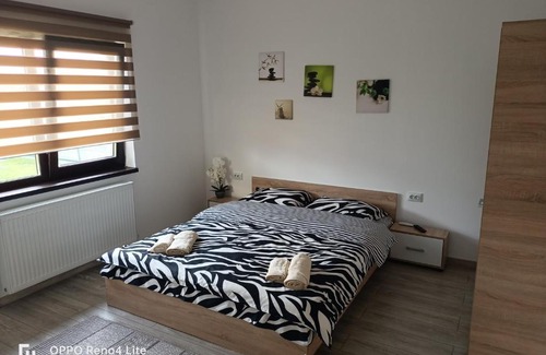 Toplita House | Casa Gabriela