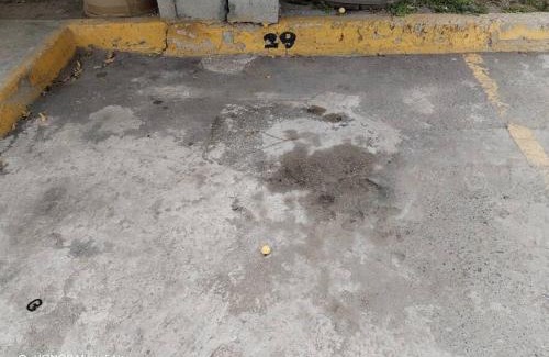 Queretaro Apartment | Casa Hortensia