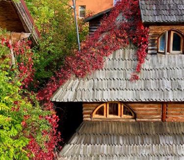 Sinaia Villa | Casa IEUD - CĂTUN