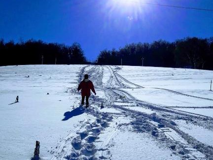 Torricella Peligna House | Casa immersa nel verde