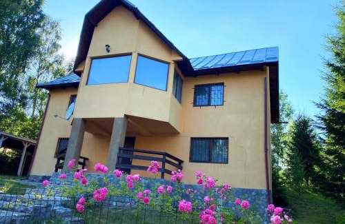 Fundata Villa | Casa Ionel si Dani
