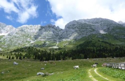 Stretti Apartment | Casa JOY