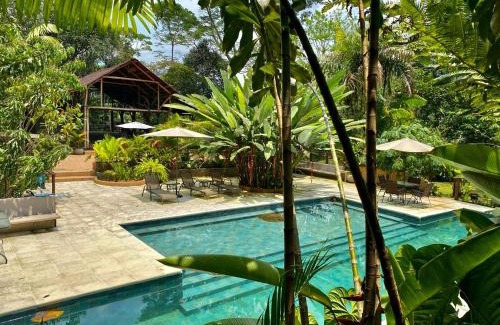 Coffee Triangle Cabin | Casa Kiwi Lodge