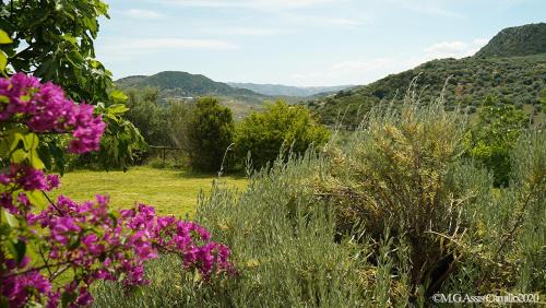 Periana Villa | Casa La Negra