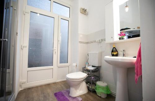 Arad Apartment | Casa Larisa