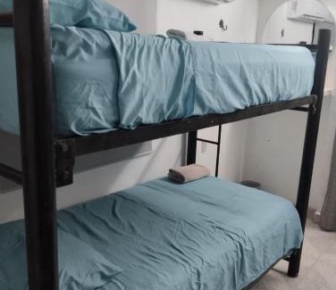 Centro House | Casa León