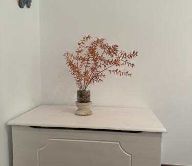 O Pindo House | CASA LELA