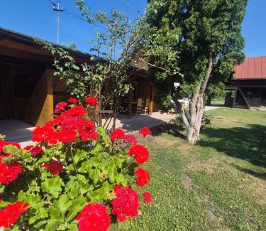 Tirgu Ocna House | Casa Livada Bunicii