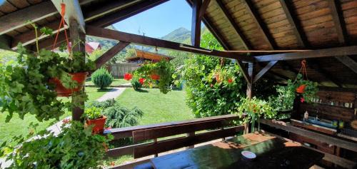 Malaia House | Casa Lotrilor