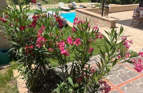 Terricciola Bed & Breakfast | Casa Loumavi