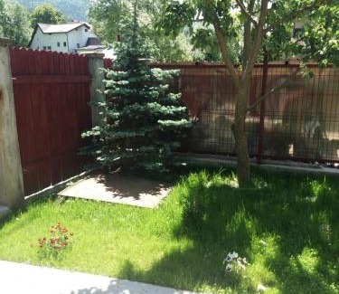 Poiana Tapului House | Casa Luca