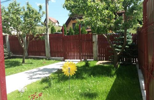 Poiana Tapului House | Casa Luca