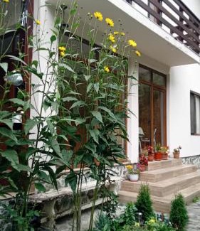 Dambovicioara House | Casa Maia Dambovicioara