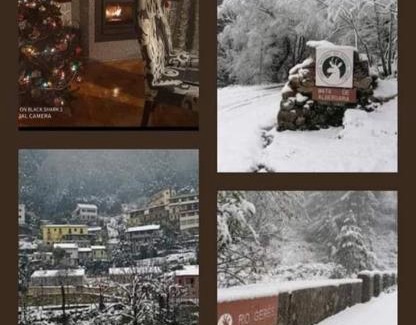 Terras de Bouro Apartment | Casa Manos Névoa