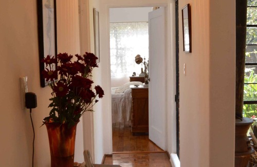 Coyoacan House | Casa Manrique: Coyoacan experience